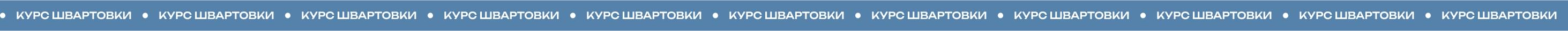 Курс швартовки
